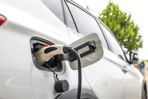 朗新科技直擊新能源汽車充電痛點，聚合充電前景廣闊