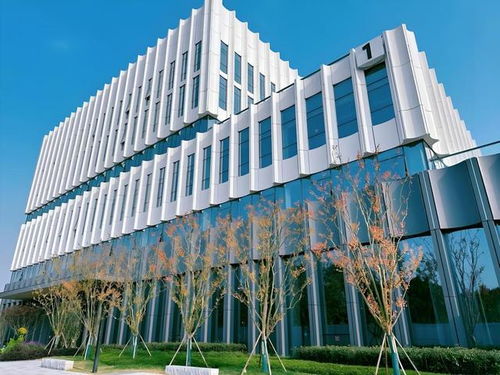 京東方成都智慧系統創新中心圓滿竣工，賦能蓉城智慧產業發展